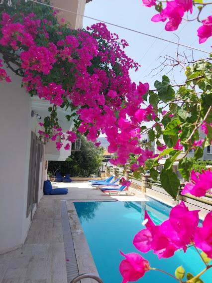 Selenya Apart Marmaris Kültér fotó